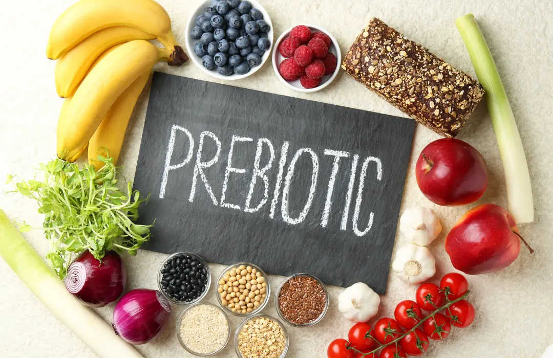 prebiotikum Szinbiotikum: Probiotikum és prebiotikum Emésztés 