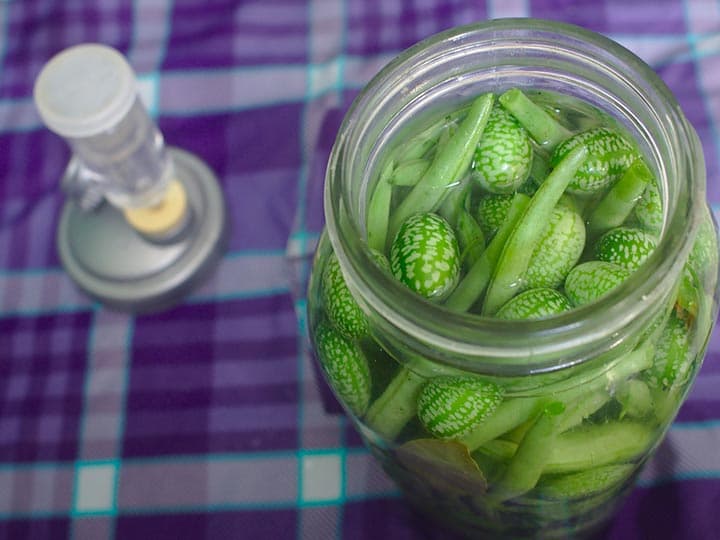 probiotikum-fermentalt-fermentalas-egeszseg-erjeszt-belflora Fermentált ételekkel az egészséges bélflóráért! Szupertápanyagok 