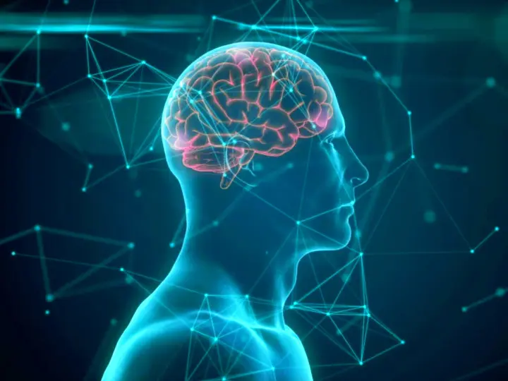 probiotikum-pszichobiotikum-stressz-depresszio-bel-agy Pszichobiotikum a tudományos forradalom! Mentális egészség 