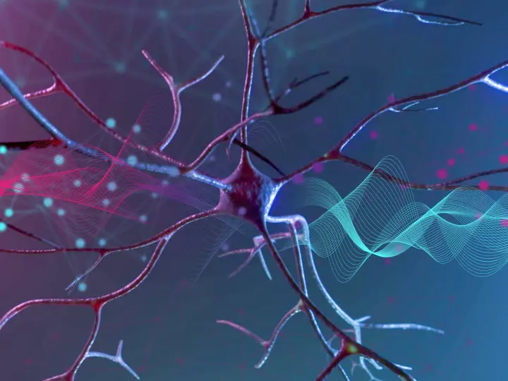 probiotikum-pszichobiotikum-stressz-szorongas-bel-agy Pszichobiotikum a tudományos forradalom! Mentális egészség 