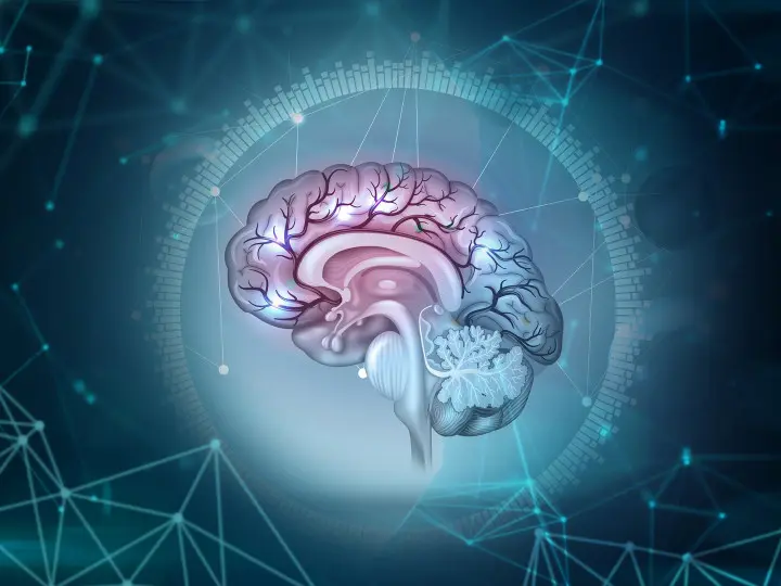 pszichobiotikum-probiotikum-szorongas-depresszio-agy-bel Pszichobiotikum a tudományos forradalom! Mentális egészség 