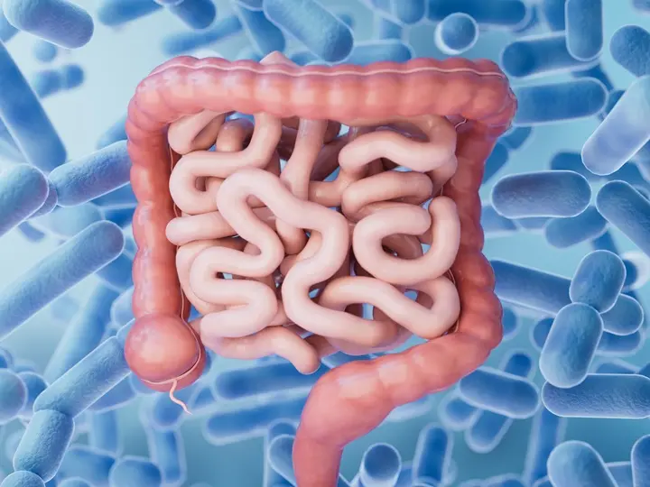 pszichobiotikumok-nem-csak-reklamfogasok Gyakori tévhitek a pszichobiotikumokról: Mi az igazság, és mi csak marketing? Mentális egészség 