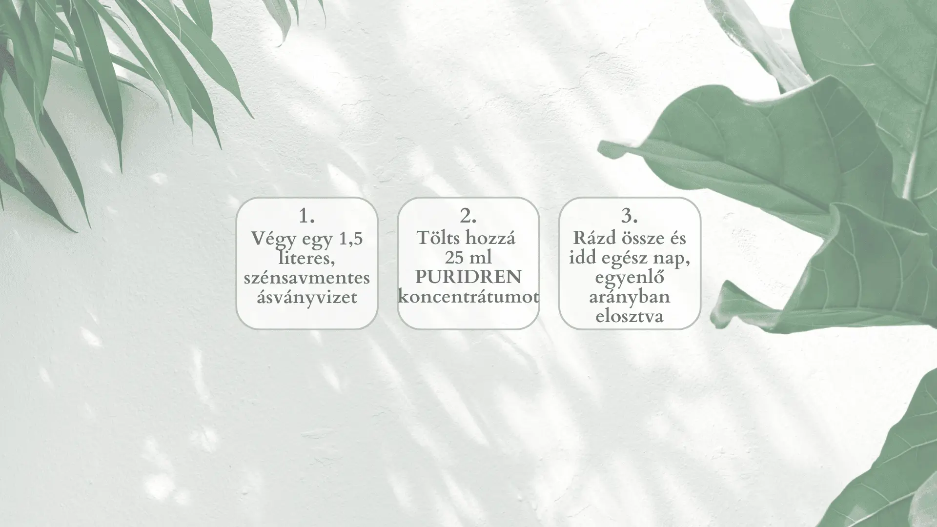 puridren-20koncentrC3A1tum 60 napos tisztítókúra az egészséged és szépséged javára! Méregtelenítés 