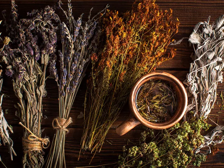 puridren-koncentratum-meregtelenito-gyogynovenyek Pörgesd fel az anyagcseréd! Méregtelenítés 