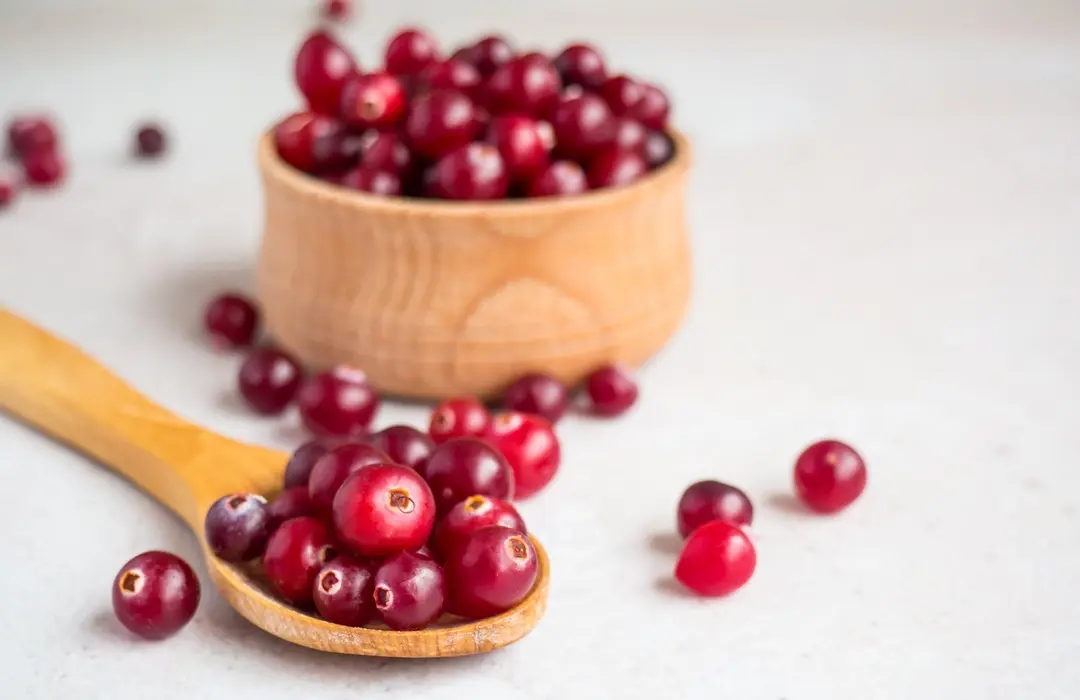 ripe-fresh-cranberries-wooden-bowl-wooden-spoon-concrete-table-top-with-copy-space Tőzegáfonya: Mi mindenre jó? Immunrendszer 