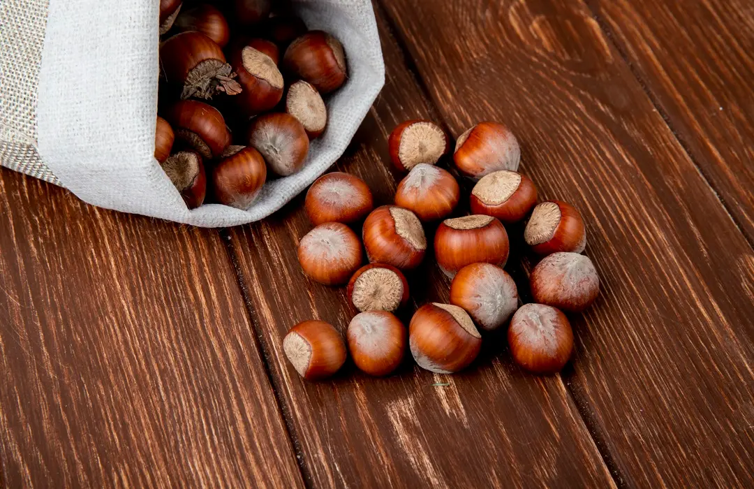 side-view-hazelnuts-shell-scattered-from-sack-wooden-background Miért hasznos a vadgesztenye? Sejtvédelem 