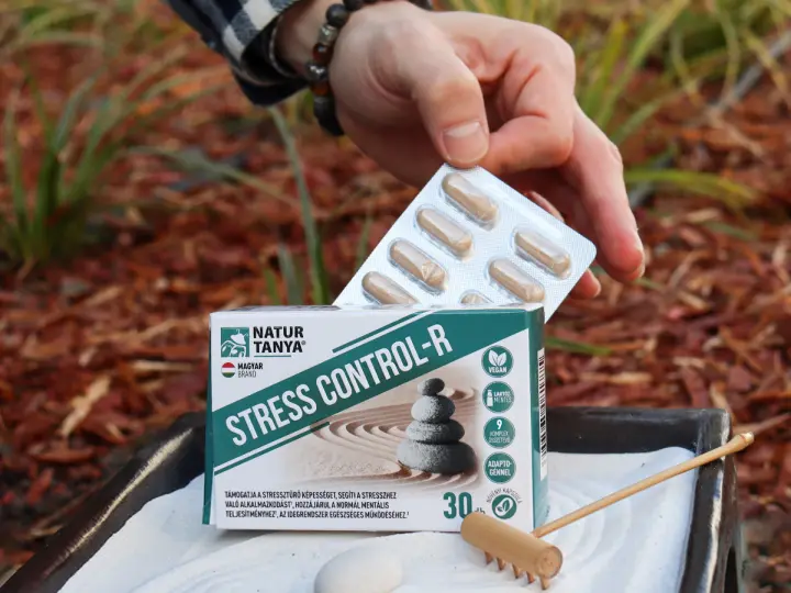 stress-control-adaptogen-depresszio A depresszió kezelése természetesen, lehetséges? Mentális egészség 