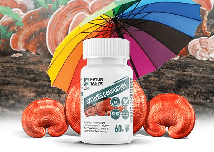 szerves-ganoderma Azok a csodálatos adaptogének! Hormontámogatás 