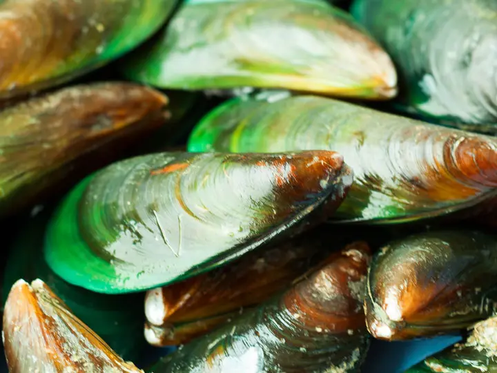 szerves-zoldkagylo-izulet-gyulladas-porckopas-porc Mire használható az új-zélandi zöldkagyló? Szupertápanyagok 