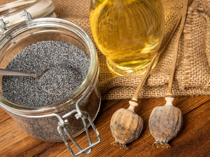 sziv-pajzsmirigy-ideg-egeszseg-premium-mak-olaj 9 OK a prémium mákolaj mellett Immunrendszer 