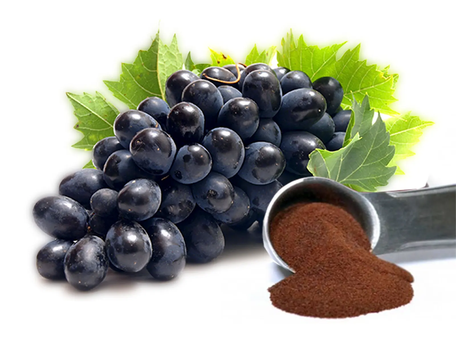 szolohej-mikroorlemeny3 6 OK a Vörös szőlőhéj mikroőrlemény mellett Szupertápanyagok 