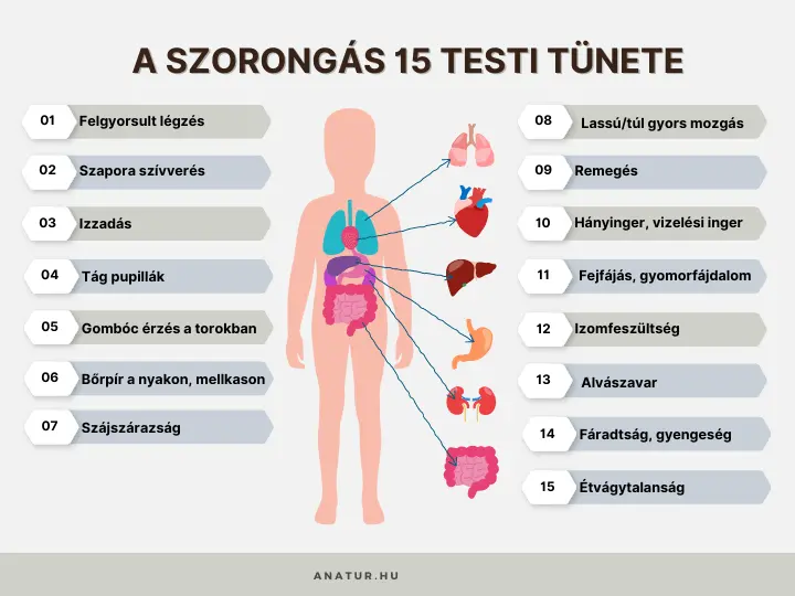 szorongas-testi-tunetei Így károsítja a szorongás a szervezetet! Mentális egészség 