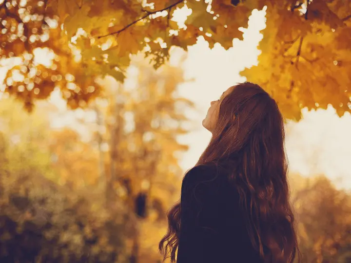 tapanyagok-oszi-hajhullas-ellen Csak a falevelek hulljanak, ne a hajad! Szépség 