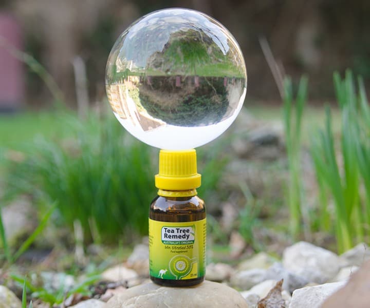 teafa-olaj_1 Relaxációs és stresszoldó technikák Mentális egészség 