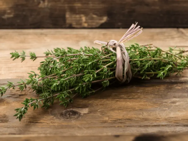 termeszetes-antibiotikum-gyogynoveny-kakukkfu TOP 5 természetes antibiotikum – mindig legyen belőlük otthon! Immunrendszer 