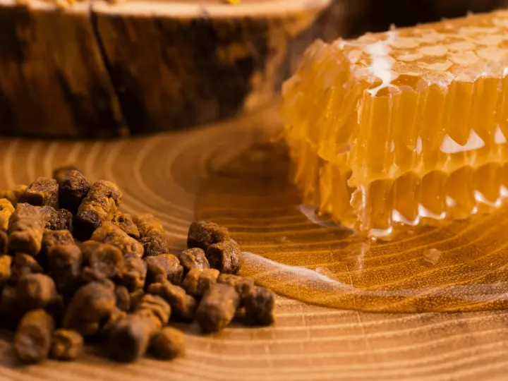 termeszetes-antibiotikum-propolisz TOP 5 természetes antibiotikum – mindig legyen belőlük otthon! Immunrendszer 