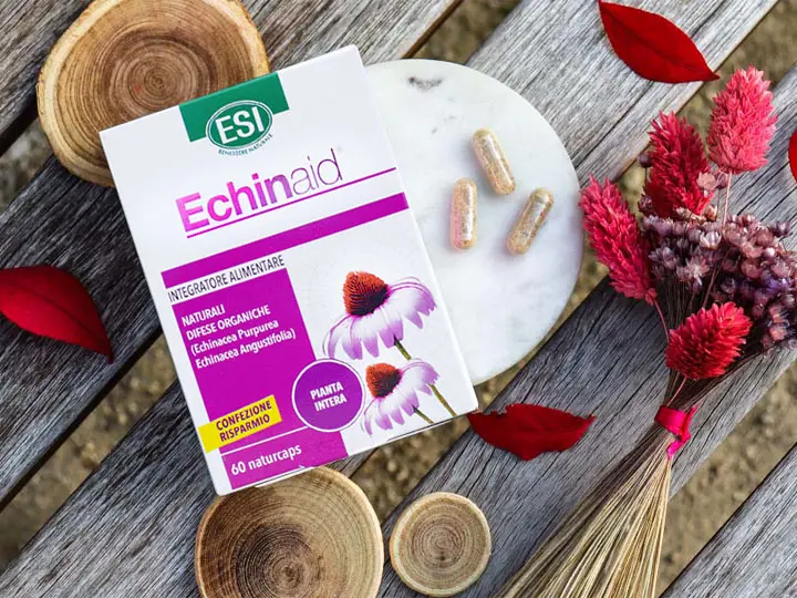 termeszetes-tapanyag-kohoges-torokfajas-torokgyulladas-echinacea Tuti tippek köhögésre és torokgyulladásra Immunrendszer 