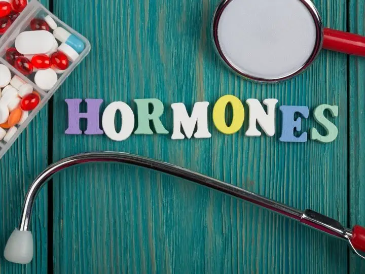 text-hormones-colored-wooden-letters-stethoscope-pills A B-vitaminok és hormonrendszer Hormontámogatás 