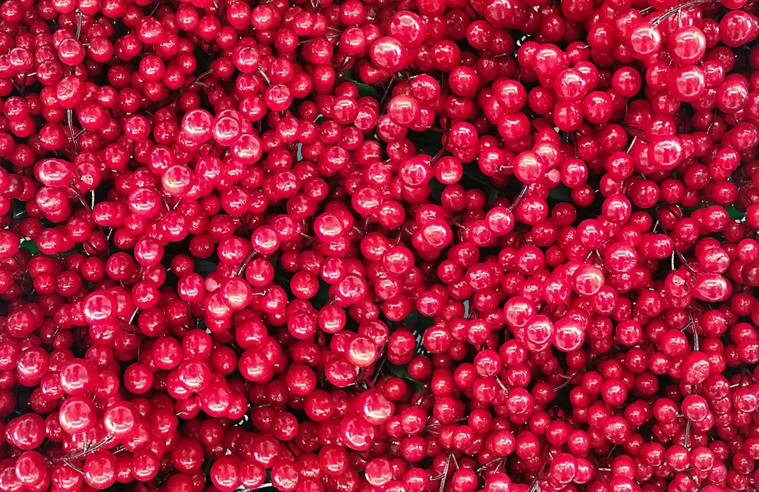 tozeg2 Miért fogyassz tőzegáfonyát? Immunrendszer 