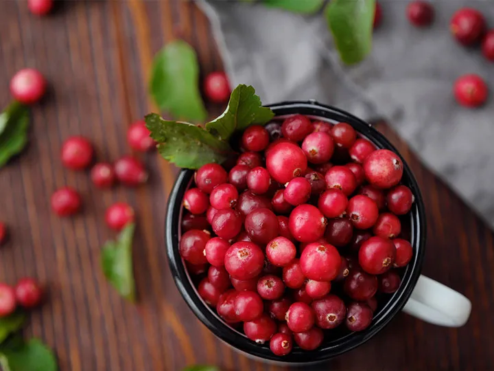 tozegafonya-felfazas-termeszetes-afonya Ezért fogyassz rendszeresen tőzegáfonyát! Immunrendszer 