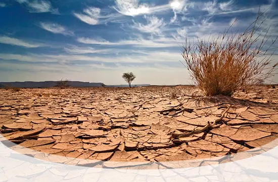 tozegafonya-hugyuti-huvelyi-fertozes-felfazas-hugyholyag-termeszetes Folyóügyek: hányszor pisilsz, és hányszor kell egy nap? Méregtelenítés 