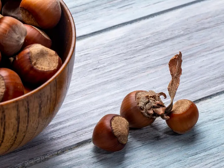 vadgesztenye-erekre-jo-hatas Ütőértágulat? Ezekkel előzd meg! Szupertápanyagok 