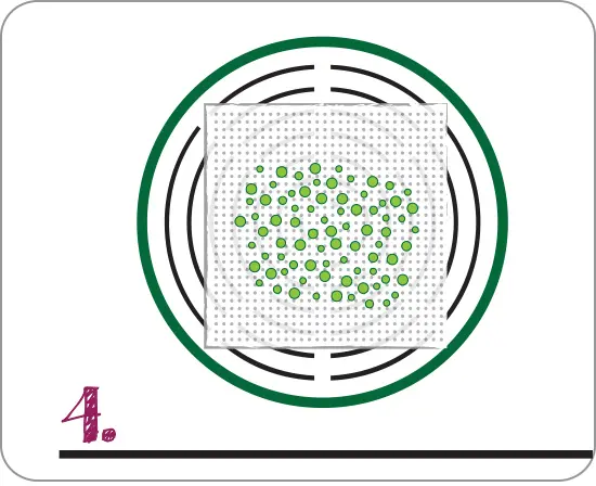 vegyszermentes-csiraztatas-puffadas-bio-termeszetes-magok-vitaminok Otthoni csíráztatás fortélyai 8 lépésben Szupertápanyagok 