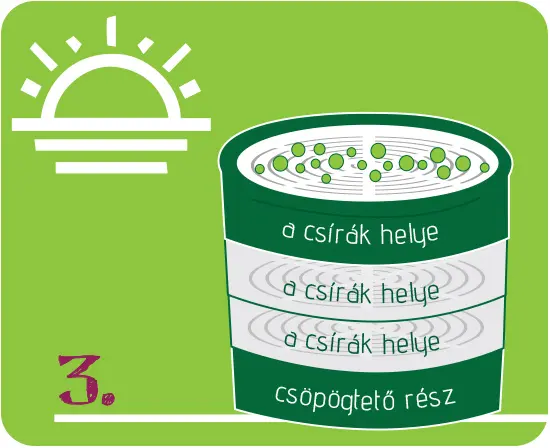 vitaminok-termeszetes-csiraztatas-puffadas-bio-vegyszermentes-magok Otthoni csíráztatás fortélyai 8 lépésben Szupertápanyagok 