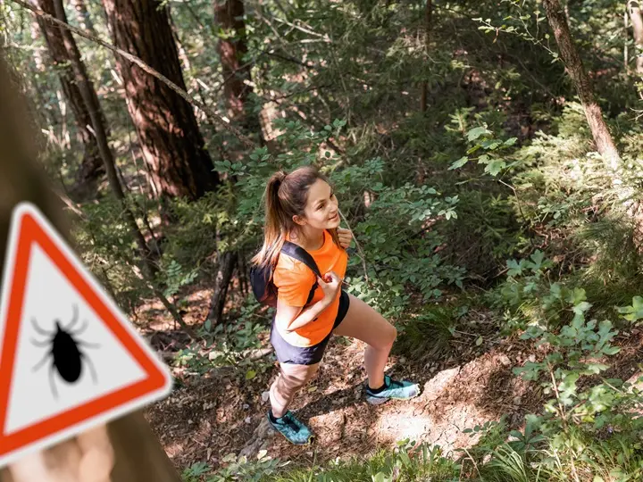 woman-hiking-infected-ticks-forest-with-warning-sign-risk-tickborne-lyme-disease Itt a kullancsszezon! Tippek kullancsok ellen Szupertápanyagok 