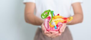woman-holding-human-pancreatitis-anatomy-model-with-pancreas-gallblle-duct-duodenum-small-intestine-1-300x134 Cikkajánló 