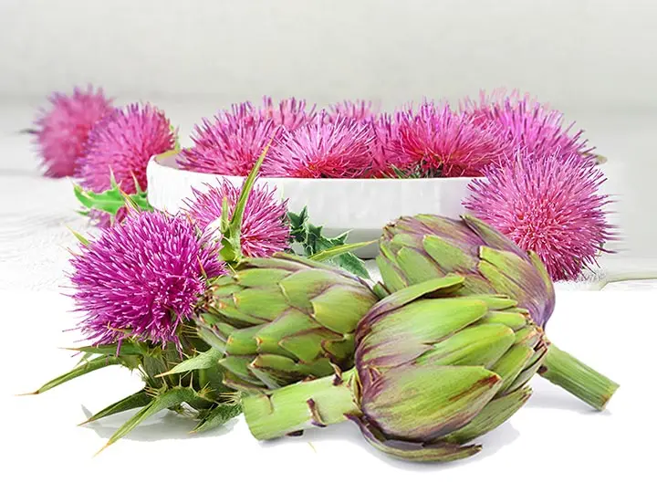 zsirmaj-ellen-eletmod-etkezes-vercukorszint-majtapanyag 5 lépéses cselekvési terv zsírmáj esetén Emésztés 